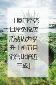 厦门空港口岸免税店消费热力攀升！前五月销售比增近三成