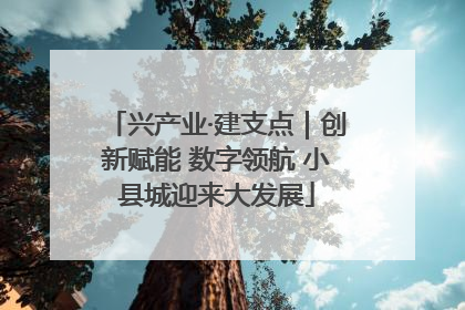 兴产业·建支点｜创新赋能 数字领航 小县城迎来大发展
