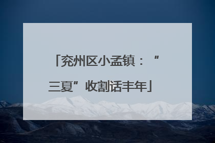 兖州区小孟镇：“三夏”收割话丰年
