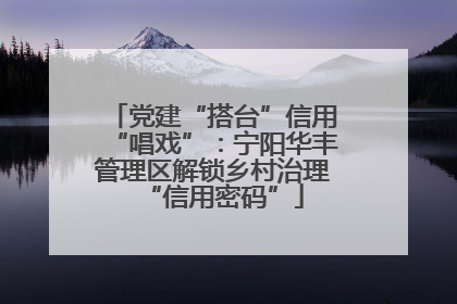 党建“搭台”信用“唱戏”：宁阳华丰管理区解锁乡村治理“信用密码”