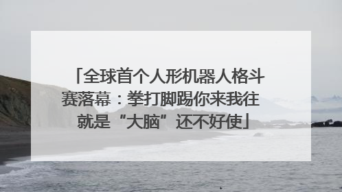 全球首个人形机器人格斗赛落幕：拳打脚踢你来我往 就是“大脑”还不好使