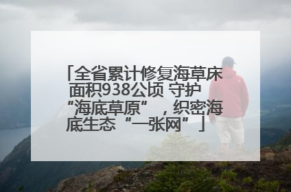 全省累计修复海草床面积938公顷 守护“海底草原”，织密海底生态“一张网”