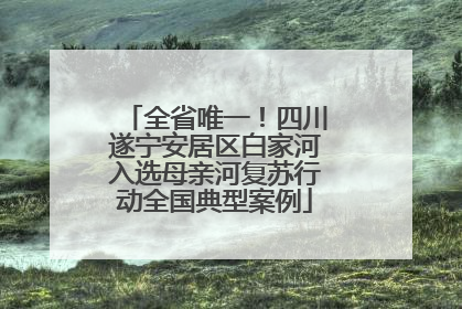 全省唯一！四川遂宁安居区白家河入选母亲河复苏行动全国典型案例