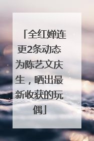 全红婵连更2条动态为陈艺文庆生，晒出最新收获的玩偶
