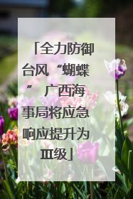 全力防御台风“蝴蝶” 广西海事局将应急响应提升为Ⅲ级