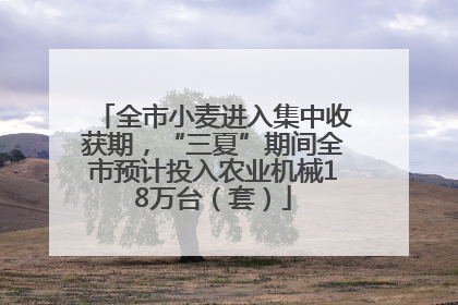 全市小麦进入集中收获期，“三夏”期间全市预计投入农业机械18万台（套）