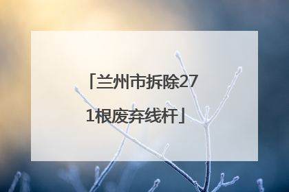 兰州市拆除271根废弃线杆