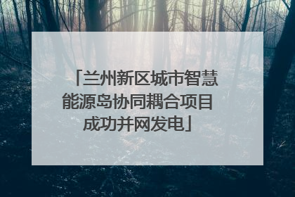 兰州新区城市智慧能源岛协同耦合项目成功并网发电