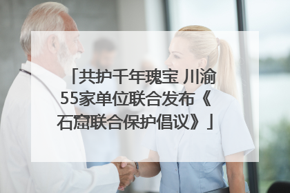 共护千年瑰宝 川渝55家单位联合发布《石窟联合保护倡议》