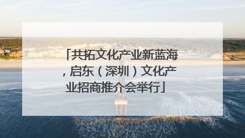 共拓文化产业新蓝海，启东（深圳）文化产业招商推介会举行
