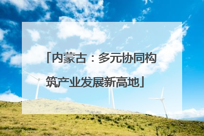 内蒙古：多元协同构筑产业发展新高地