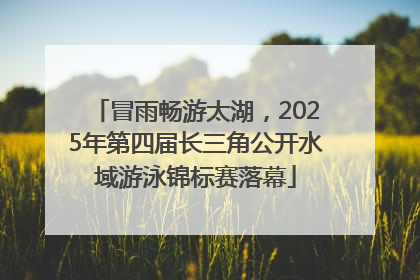 冒雨畅游太湖，2025年第四届长三角公开水域游泳锦标赛落幕