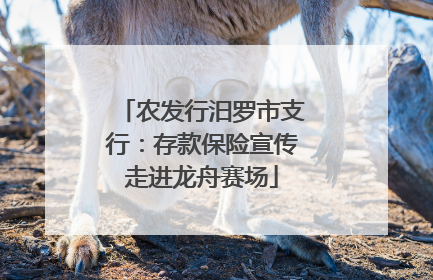 农发行汨罗市支行：存款保险宣传走进龙舟赛场