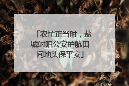 农忙正当时，盐城射阳公安护航田间地头保平安