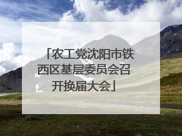 农工党沈阳市铁西区基层委员会召开换届大会