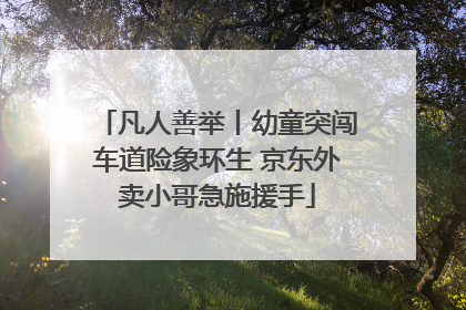 凡人善举丨幼童突闯车道险象环生 京东外卖小哥急施援手