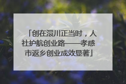 创在澴川正当时，人社护航创业路——孝感市返乡创业成效显著