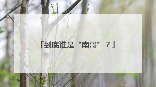 到底谁是“南哥”？
