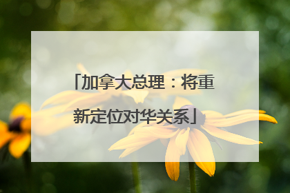 加拿大总理：将重新定位对华关系