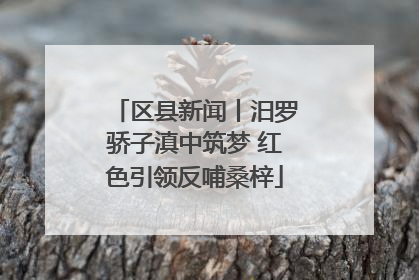 区县新闻丨汨罗骄子滇中筑梦 红色引领反哺桑梓