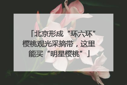 北京形成“环六环”樱桃观光采摘带，这里能买“明星樱桃”