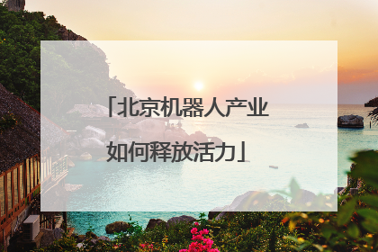 北京机器人产业如何释放活力