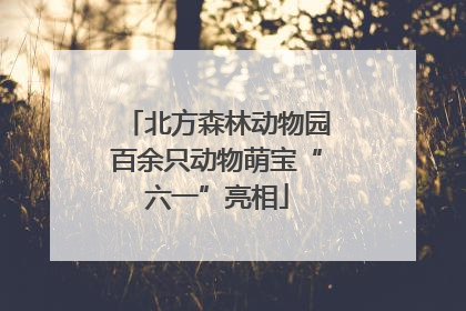 北方森林动物园百余只动物萌宝“六一”亮相