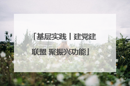 基层实践丨建党建联盟 聚振兴功能