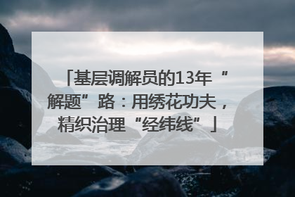 基层调解员的13年“解题”路：用绣花功夫，精织治理“经纬线”