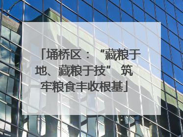 埇桥区：“藏粮于地、藏粮于技” 筑牢粮食丰收根基