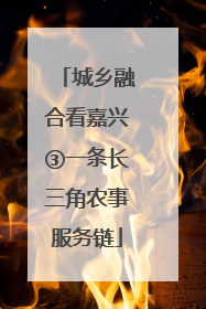 城乡融合看嘉兴③一条长三角农事服务链