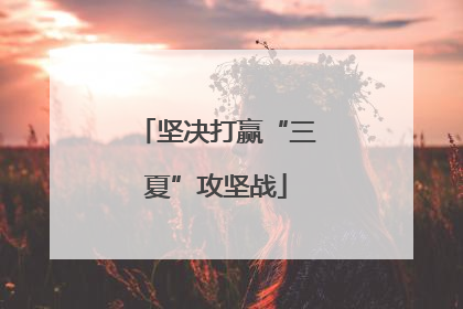 坚决打赢“三夏”攻坚战