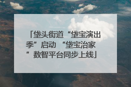 垡头街道“垡宝演出季”启动 “垡宝治家”数智平台同步上线
