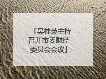 吴桂英主持召开市委财经委员会会议