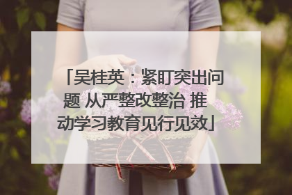 吴桂英：紧盯突出问题 从严整改整治 推动学习教育见行见效