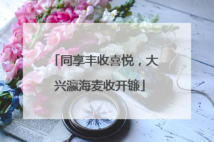 同享丰收喜悦，大兴瀛海麦收开镰