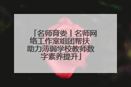 名师育娄丨名师网络工作室组团帮扶 助力薄弱学校教师数字素养提升