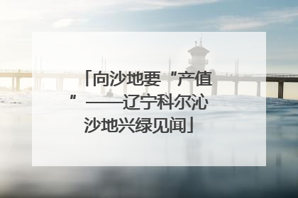 向沙地要“产值”——辽宁科尔沁沙地兴绿见闻