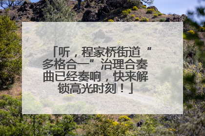 听，程家桥街道“多格合一”治理合奏曲已经奏响，快来解锁高光时刻！