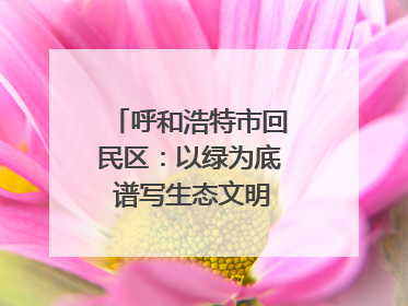 呼和浩特市回民区：以绿为底 谱写生态文明建设新篇章