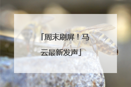 周末刷屏！马云最新发声