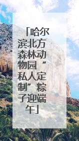 哈尔滨北方森林动物园“私人定制”粽子迎端午
