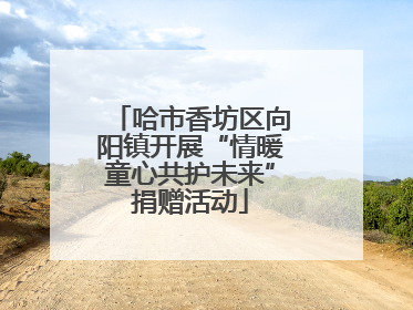 哈市香坊区向阳镇开展“情暖童心共护未来”捐赠活动