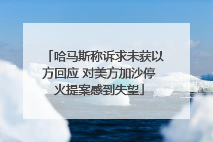 哈马斯称诉求未获以方回应 对美方加沙停火提案感到失望