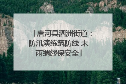 唐河县泗洲街道：防汛演练筑防线 未雨绸缪保安全