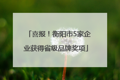 喜报！衡阳市5家企业获得省级品牌奖项