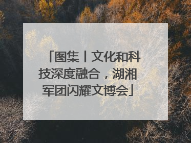 图集丨文化和科技深度融合，湖湘军团闪耀文博会