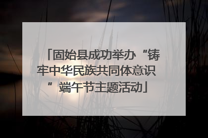 固始县成功举办“铸牢中华民族共同体意识”端午节主题活动