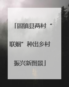 固镇县两村“联姻”种出乡村振兴新图景