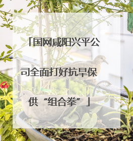 国网咸阳兴平公司全面打好抗旱保供“组合拳”